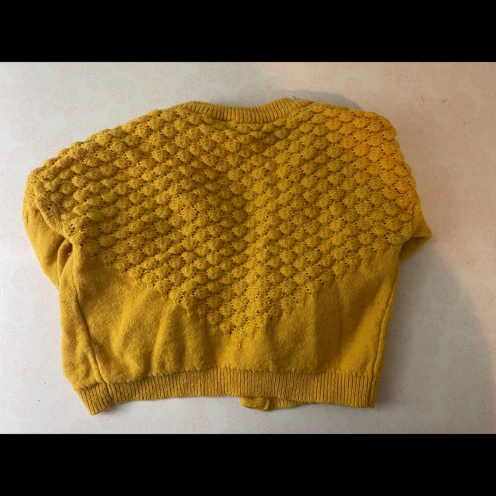 Janie and Jack sweater